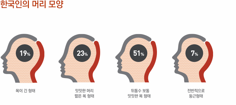 한국인의 머리 모양 | 목이 긴 형태 : 19% | 밋밋한 머리 짧은 목 형태 : 23% | 뒤통수 보통 밋밋한 목 형태 : 51% | 전반적으로 둥근형태 : 7%