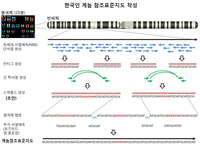 한국인 게놈 참조표준지도 작성