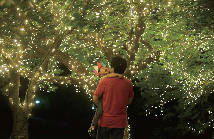 어두운 밤, 나무들 가득 설치된 빛이 밝혀진 전구들을 바라보는 아기를 안은 남자의 사진