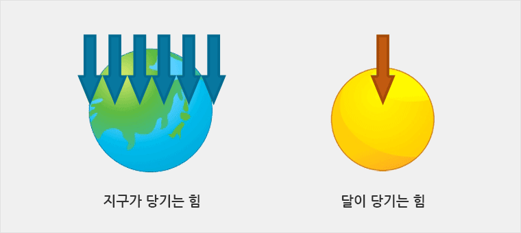 지구가 당기는 힘 (화살표 6개), 달이 당기는 힘 (화살표 1개) 비교