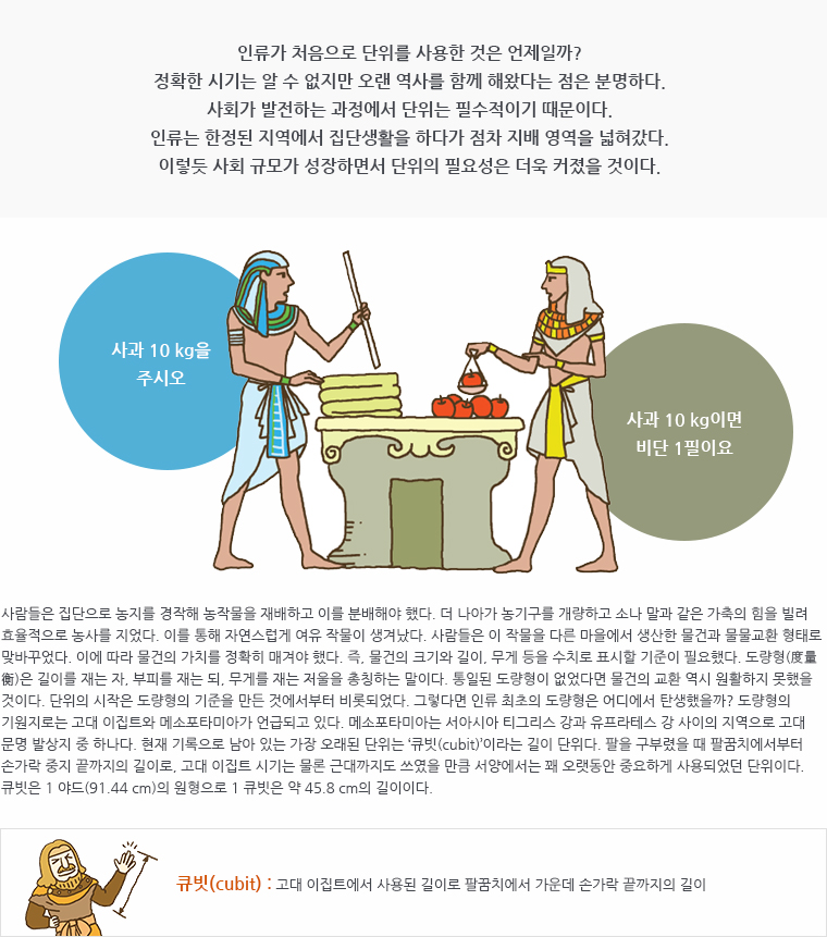 인류가 처음으로 단위를 사용한 것은 언제일까? 정확한 시기는 알 수 없지만 오랜 역사를 함께 해왔다는 점은 분명하다. 사회가 발전하는 과정에서 단위는 필수적이기 때문이다. 인류는 한정된 지역에서 집단생활을 하다가 점차 지배 영역을 넓혀갔다. 이렇듯 사회 규모가 성장하면서 단위의 필요성은 더욱 커졌을 것이다. / (삽화 : 자를 들고 있는 이집트인 앞에는 옷감이 놓여 있고, 마주보고 있는 저울을 들고 있는 이집트인 앞에는 사과가 놓여 있음. 자를 든 이집트인의 대사 '사과 10 kg을 주시오', 저울을 든 이집트인의 대사 '사과 10kg이면 비단 1필이요') /사람들은 집단으로 농지를 경작해 농작물을 재배하고 이를 분배해야 했다. 더 나아가 농기구를 개량하고 소나 말과 같은 가축의 힘을 빌려 효율적으로 농사를 지었다. 이를 통해 자연스럽게 여유 작물이 생겨났다. 사람들은 이 작물을 다른 마을에서 생산한 물건과 물물교환 형태로 맞바꾸었다. 이에 따라 물건의 가치를 정확히 매겨야 했다. 즉, 물건의 크기와 길이, 무게등을 수치로 표시할 기준이 필요했다. 도량형(度量衡)은 길이를 재는 자, 부피를 재는 되, 무게를 재는 저울을 총칭하는 말이다. 통일된 도량형이 없었다면 물건의 교환 역시 원활하지 못했을 것이다. 단위의 시작은 도량형의 기준을 만든 것에서부터 비롯되었다. 그렇다면 인류 최초의 도량형은 어디에서 탄생했을까? 도량형의 기원지로 는 고대 이집트와 메소포타미아가 언급되고 있다. 메소포타미아는 서아시아 티그리스 강과 유프라테스 강 사이의 지역으로 고대 문명 발상지 중 하나다. 현재 기록으로 남아 있는 가장 오래된 단위는 ‘큐빗(cubit)’이라는 길이 단위다. 팔을 구부렸을 때 팔꿈치에서부터 손가락 중지 끝까지의 길이로, 고대 이집트 시기는 물론 근대까지도 쓰였을 만큼 서양에서는 꽤 오랫동안 중요하게 사용되었던 단위이다. 큐빗은 1 야드(91.44 cm)의 원형으로 1 큐빗은 약 45.8 cm의 길이이다. / * 큐빗(cubit) : 고대 이집트에서 사용된 길이로 팔꿈치에서 가운뎃손가락 끝까지의 길이