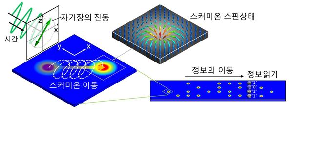 ‘교류자기장’을 이용한 스커미온 이동 방법 설명 도식도 : [스미온 스핀상태]-[스커미온 이동 (자기장의 진동, 시간)]-[정보의이동 -> 정보읽기]