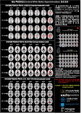 뇌 사진들