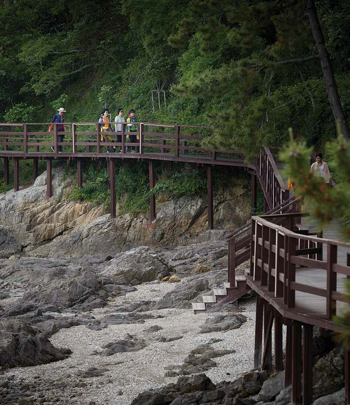 사진 : 산과 바위 사이의 나무다리 산책로