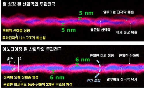 기존 투과전극과 아노다이징 공정으로 개발한 투과전극의 비교