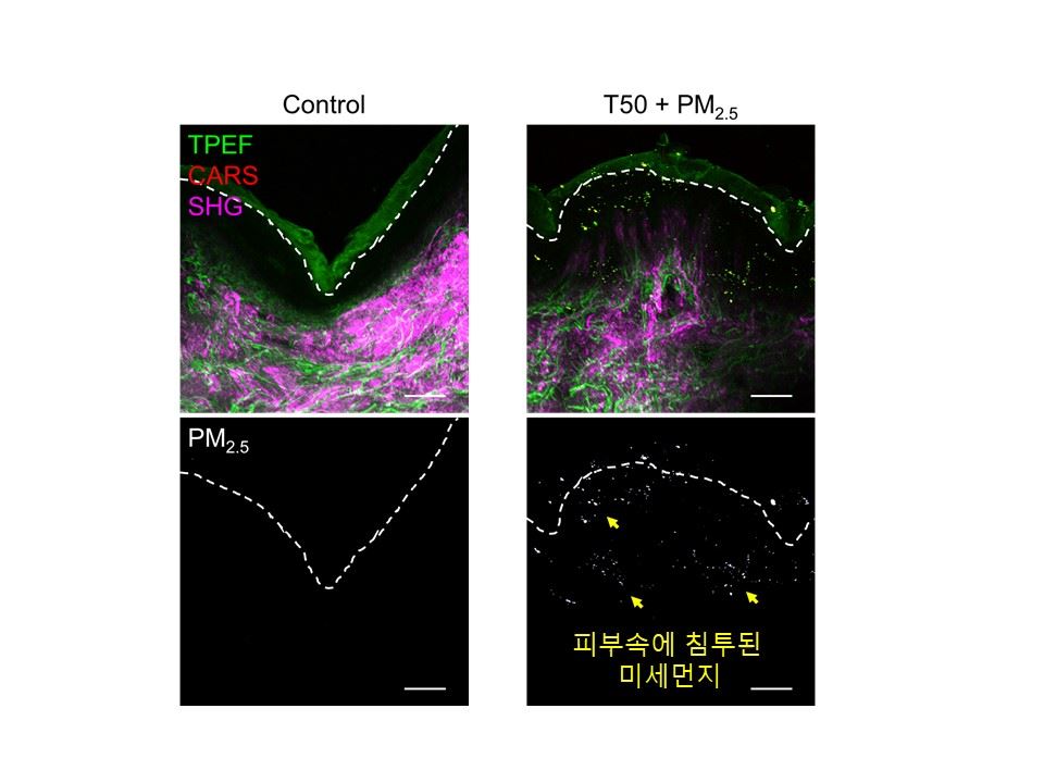 그림입니다. 원본 그림의 이름: 슬라이드3.JPG 원본 그림의 크기: 가로 960pixel, 세로 720pixel