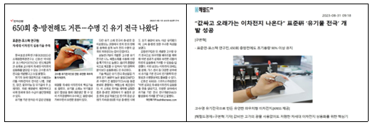 언론보도