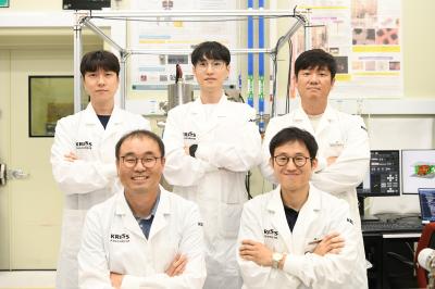 From Cells to Semiconductors: AI Reconstructs Microscopic 3D Worlds from Electron Microscopy