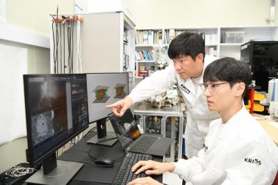 세포부터 반도체까지… 3차원 초미세 구조, AI가 자동 구현한다
