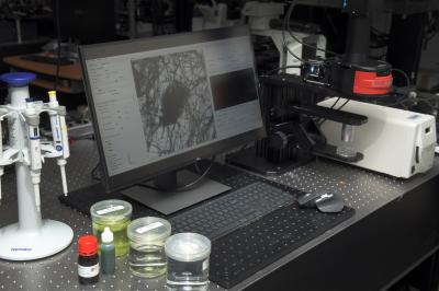 물벼룩 심장 박동으로 미세 독성 읽는다